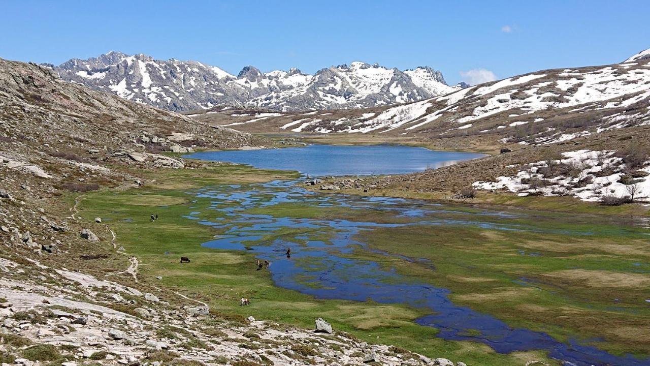 Résidence A Barcella Porto  Esterno foto
