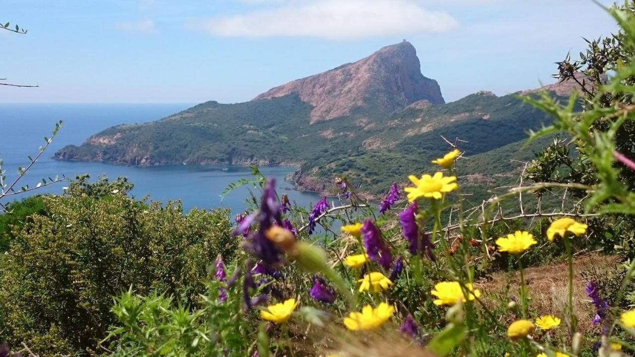 Résidence A Barcella Porto  Esterno foto